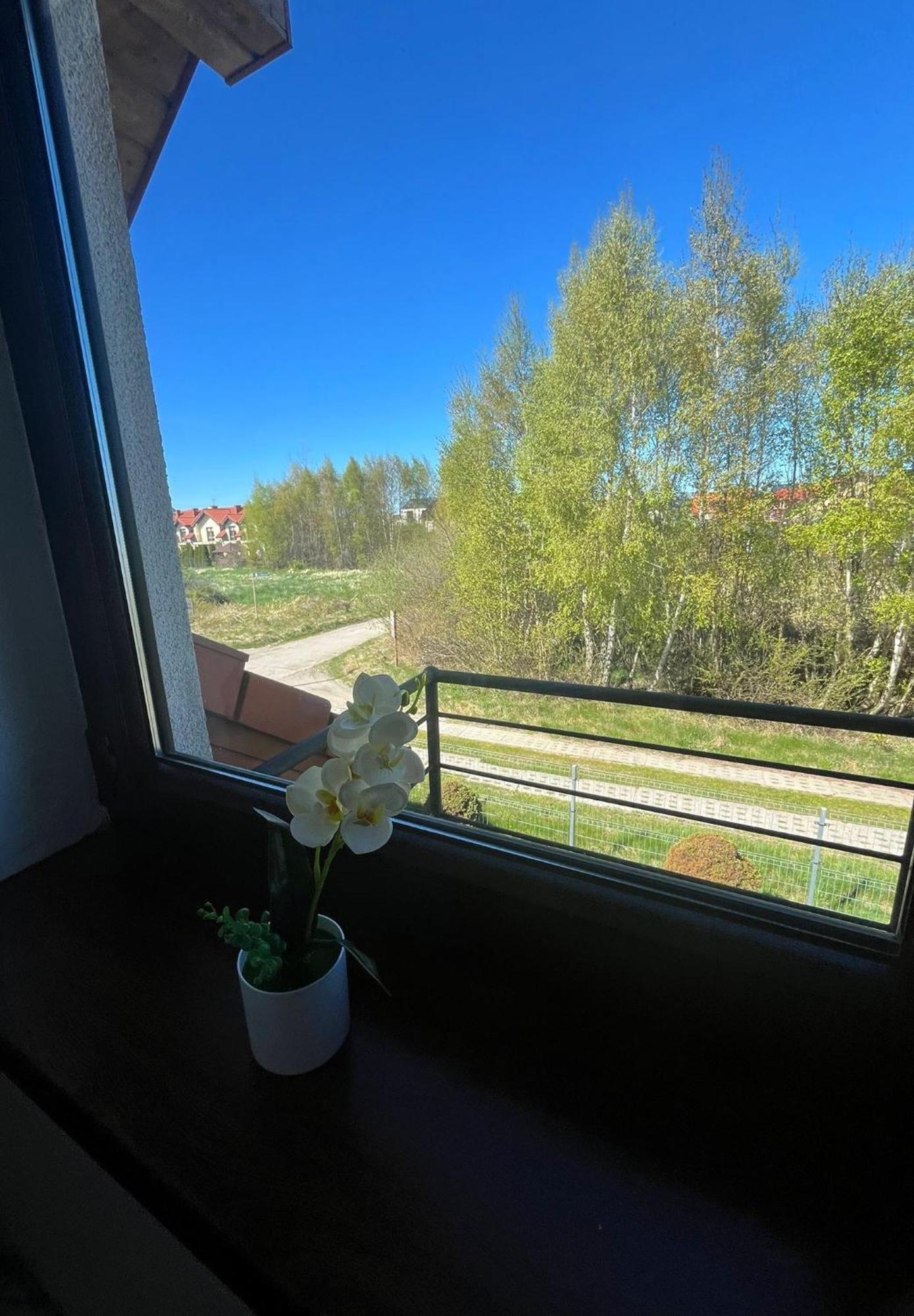 Apartamenty Adrenja Rowy  Bagian luar foto